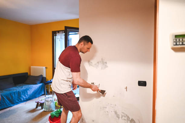 Best Mold Cleaning Services  in Sugarcreek, OH